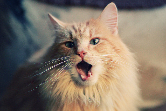 青队主帅公开表态,决心赢下下场比赛,中国青年队主教练