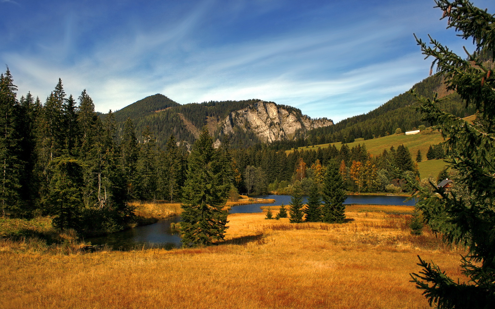 体育新闻中心构建体育赛事多渠道内容发布体系,大型体育赛事新闻运行的五大核心板块