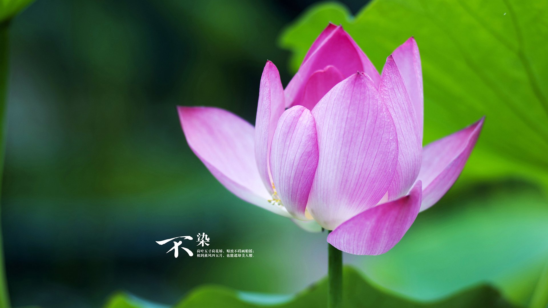 AYX GAMING-博卡中卫解围次数全场最高，博卡的主场是哪个球场