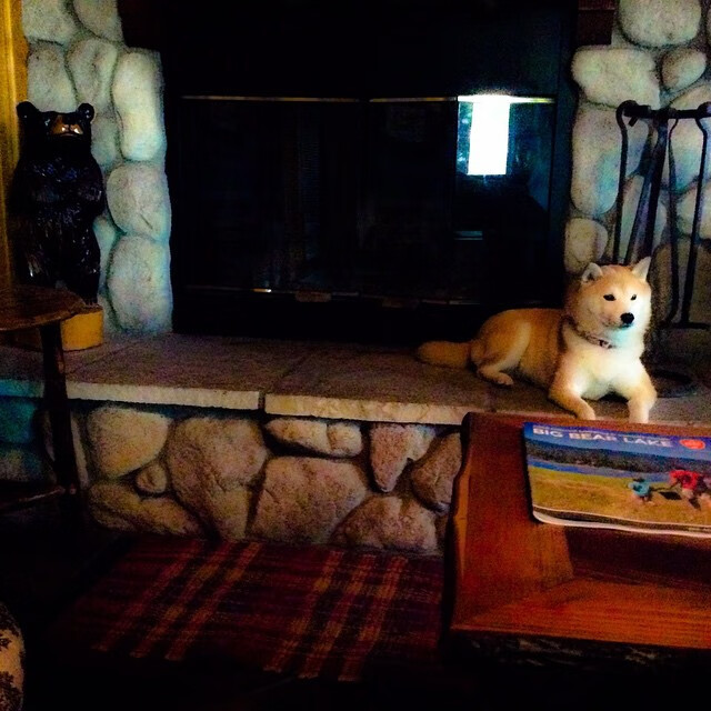 爱游戏综合娱乐-外援角色定义模糊削弱团队协作