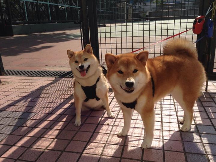 AYX体育官网-直播平台引入多机位切换自动推荐模式，直播推荐位什么意思