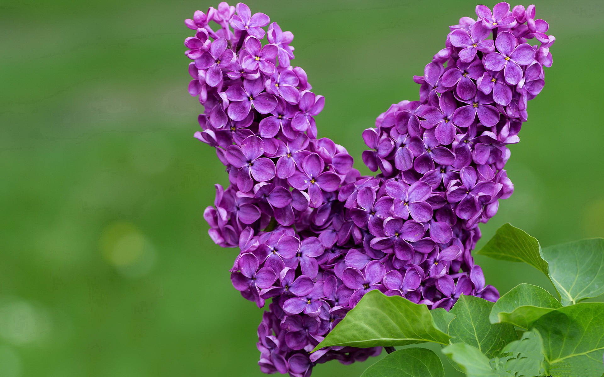 爱游戏在线登录入口-世界杯史诗级比赛：精彩神奇，永载历史！，世界杯记录大全