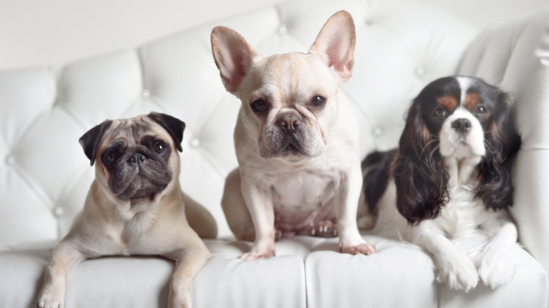 爱游戏体育平台-国家队开展跨项运动学习营引入其他项目思维方式，跨界跨项运动员