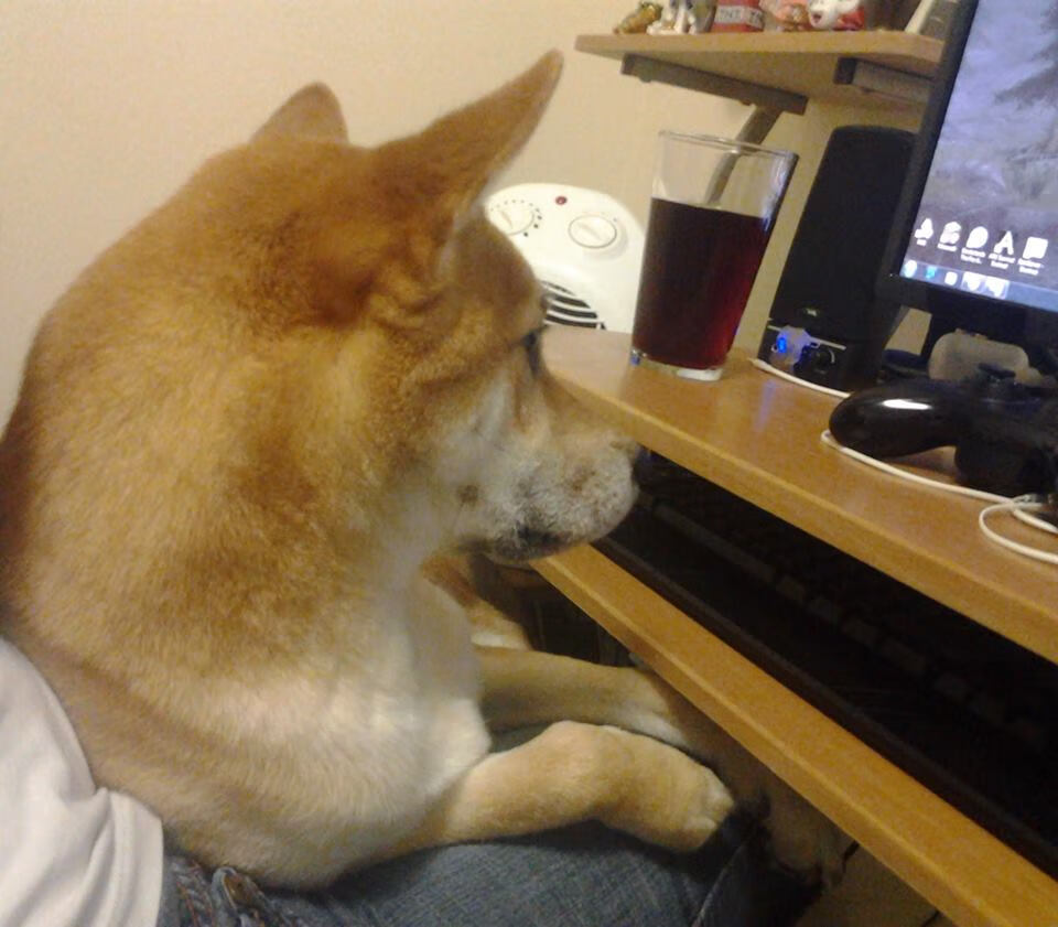 林丹被授予羽毛球推广公益奖章,林丹羽毛球奖项