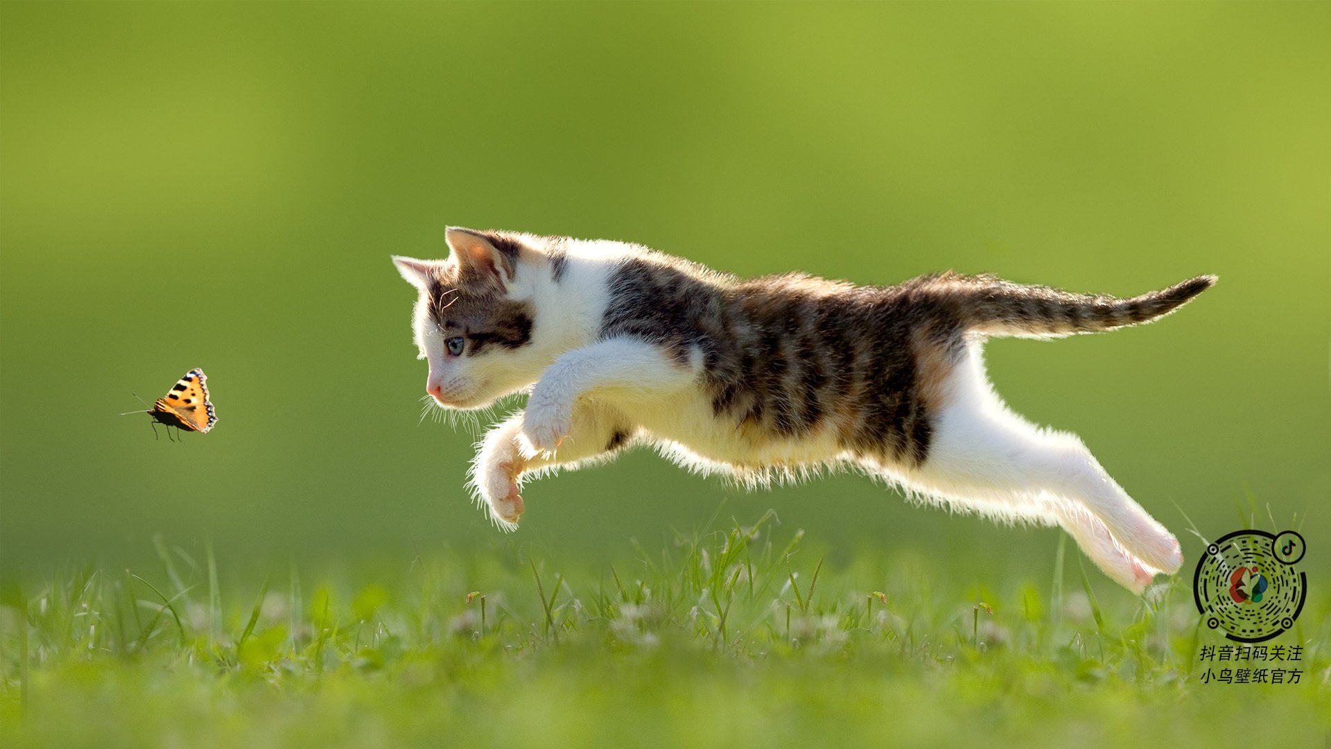 篮网安排早午晚三段训练计划保持高效节奏,篮网公开训练合照