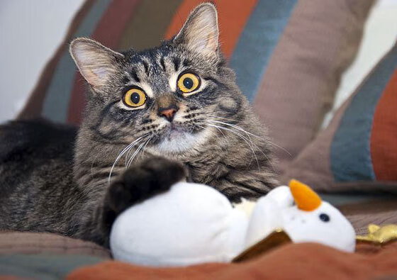 青训机构引导球员制作成长手册记录技术演进过程，足球青训球员培养协议